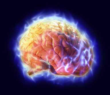 electric brain