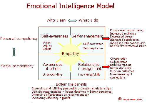 emotional intelligence grid